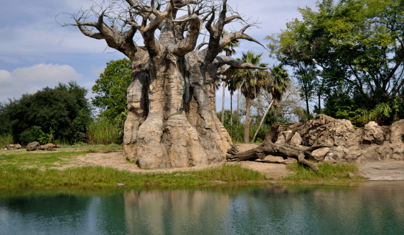 Gen Z: Confronting climate change