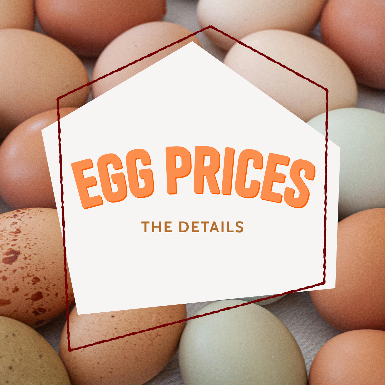 Egg Prices – The Details